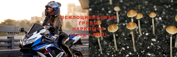 дмт Балахна