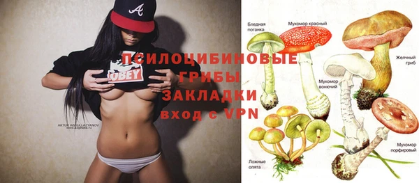 дмт Балахна